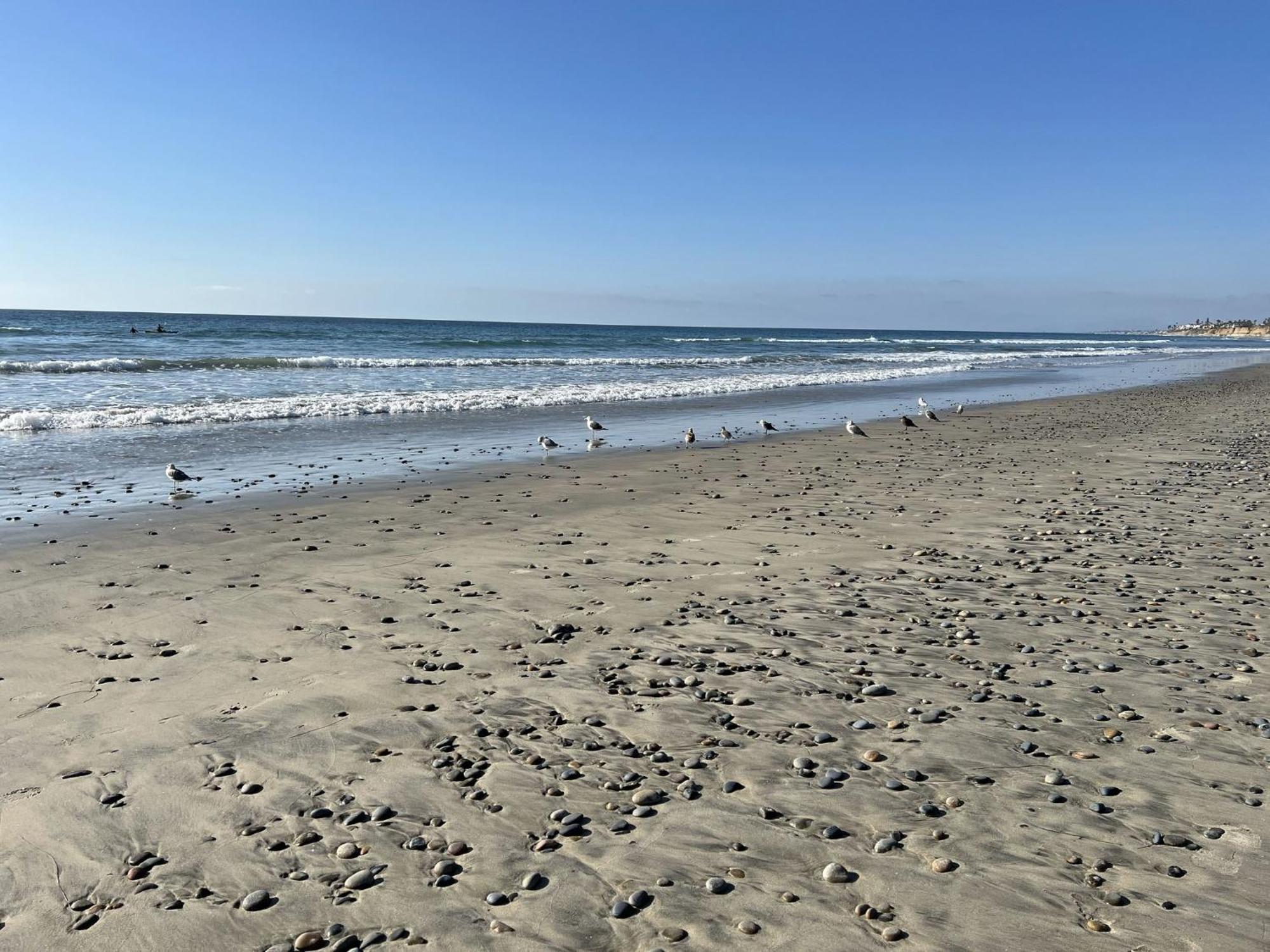 Holiday Inn Carlsbad/San Diego By Ihg Екстер'єр фото