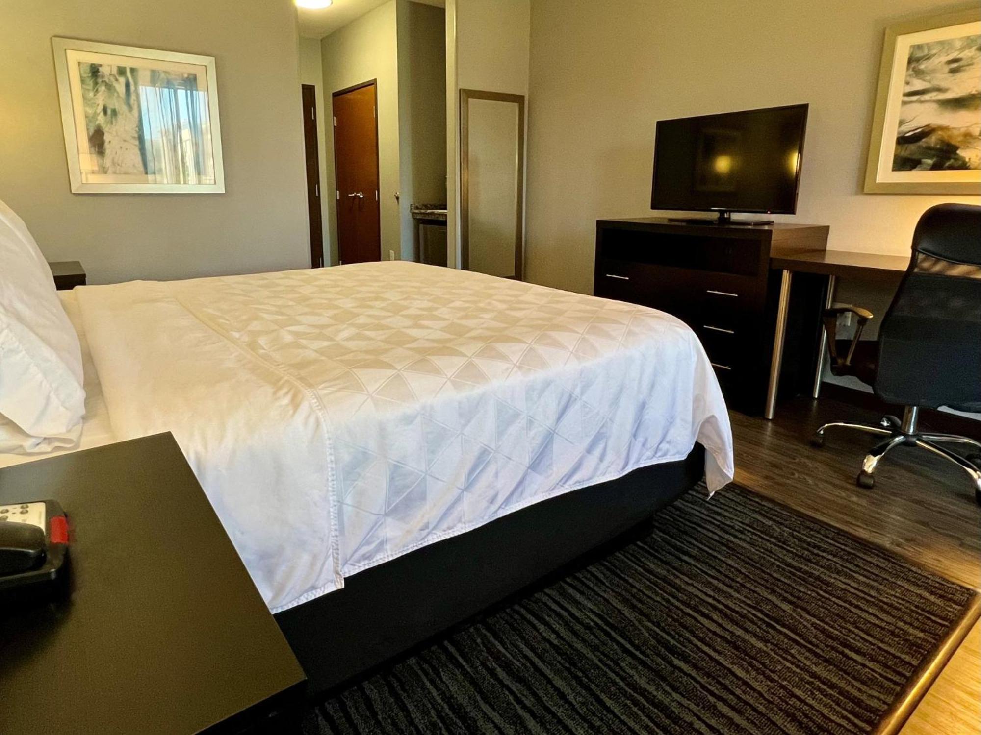Holiday Inn Carlsbad/San Diego By Ihg Екстер'єр фото